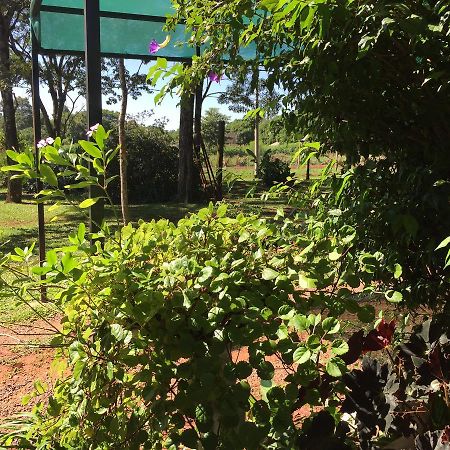 Iguazu apart hostel Puerto Iguazú Kültér fotó