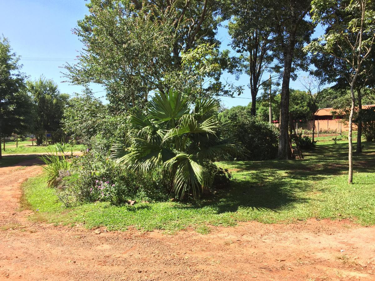 Iguazu apart hostel Puerto Iguazú Kültér fotó